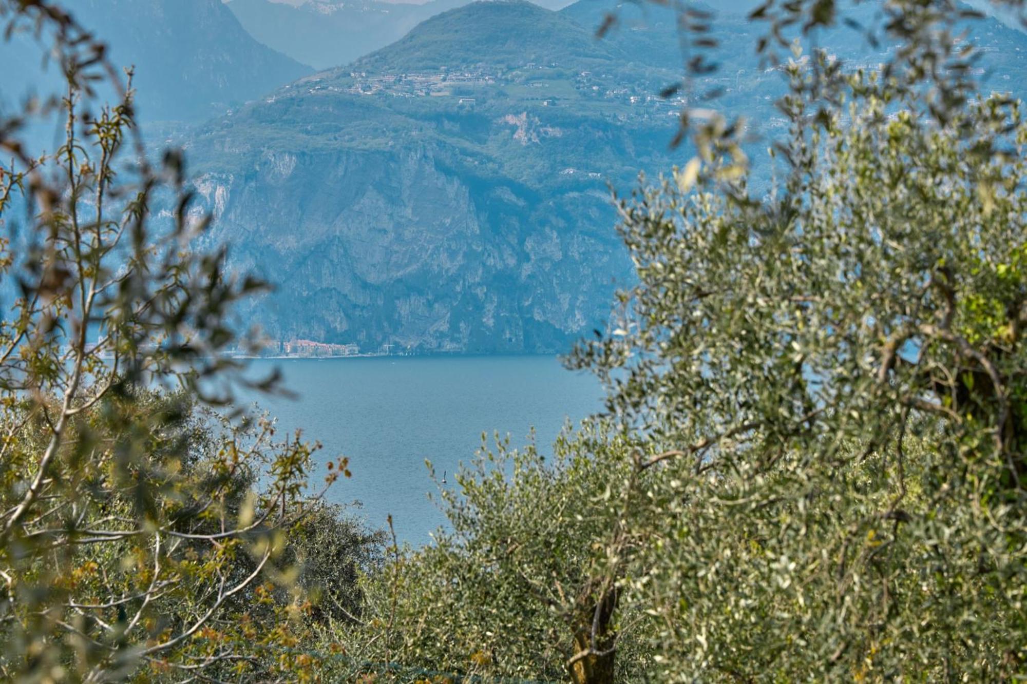 Bellavista Apartment Malcesine Eksteriør bilde